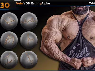 Vein VDM Brush-Alpha Vol 03 3D model
