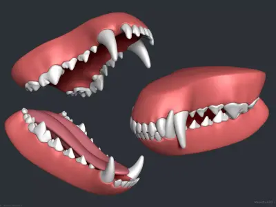 Wolf Dog Teeth Set 3D model