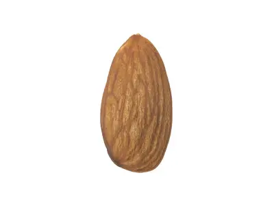Photorealistic Almond 3D Scan 3D model