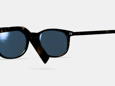 Durand Sunglasses in Whiskey Tortoise 3D model
