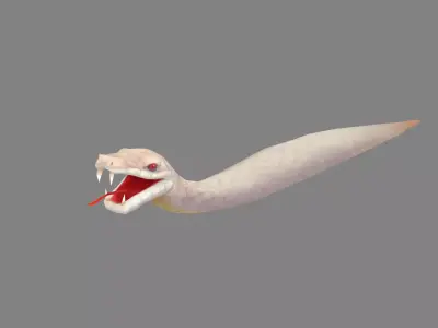 Cartoon White Snake Low-poly 3D model