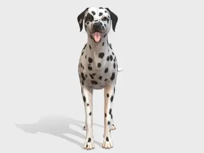 Dog - Dalmatian Low-poly 3D model