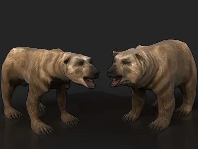 2 Bears - bony skinny starving ravenous emaciated gaunt grizzly Low-poly 3D model