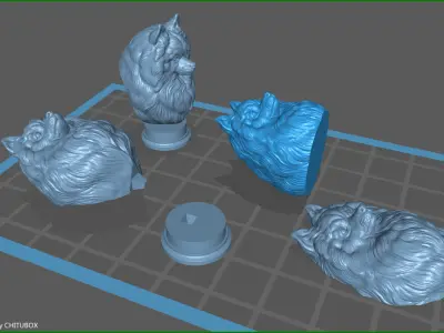 Pomeranian with a closed mouth 3D print model