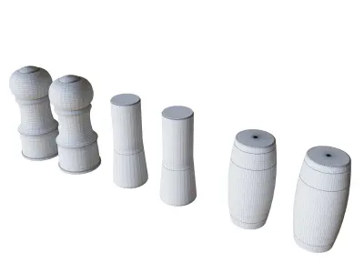 Salt and Pepper Shakers 3D model