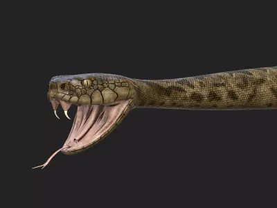 Rattlesnake snake Low-poly 3D model