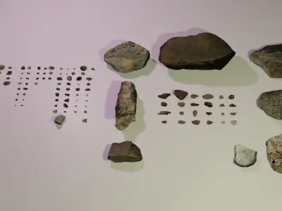 Small stones and tundras Low-poly 3D model