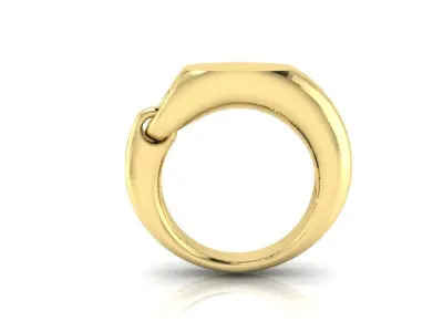 Link Signet Ring 3D print model