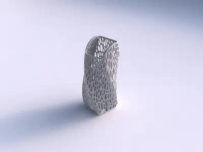 Vase twisted arc quadratic with organic lattice and tappered ... 3D print model