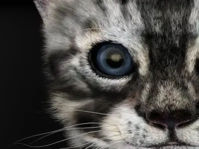 Kitten Cute 3D model