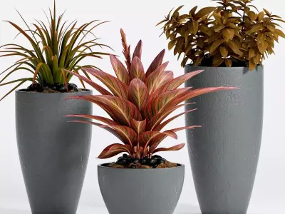 Decorative plant set-10 3D model
