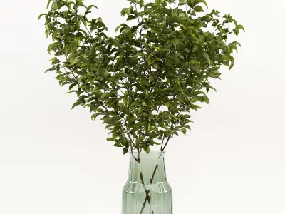 Branches in a vase 002 3D model