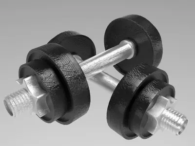 Dumbbell 3D model two dumbbells 3D model