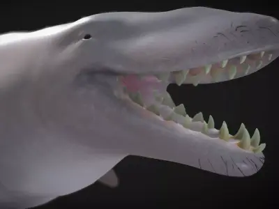 Basilosaurus  Low-poly 3D model