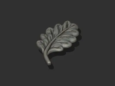 Acorn Tree Leaf 3D print model
