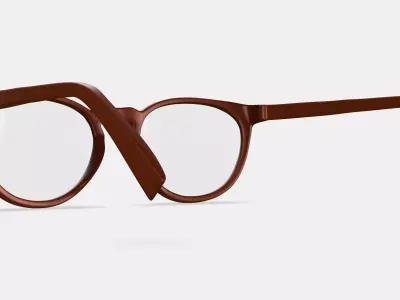 Amari Eyeglasses in Arabica Matte 3D model