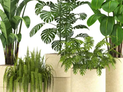 indoor plant set021 3D model