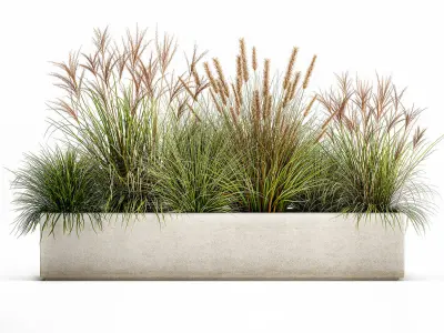 Potted reeds for landscaping 1074 3D model