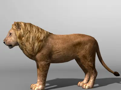 Lion Family 19838 Low-poly 3D model