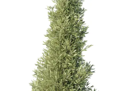 Garden set topiary and tropical plants - outdoor plant 3D model