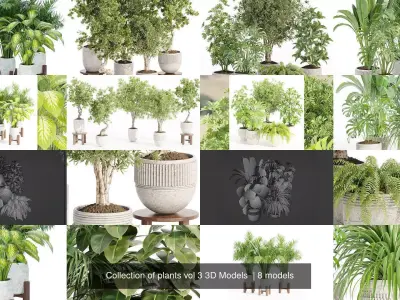 Collection of plants vol 3 3D Models 