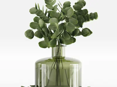 Collection Indoor Plants 02 3D model