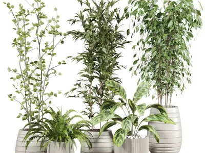 Plants Set 3D model get
