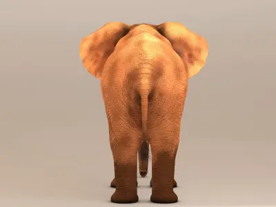 Elephant with tusks 3D model