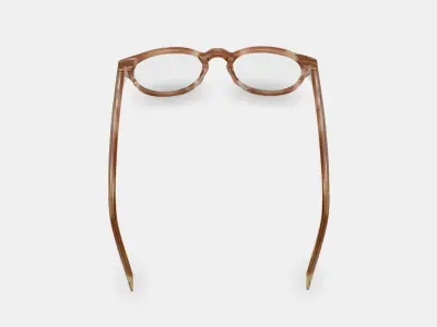 Percey Eyeglasses in Chestnut Crystal 3D model
