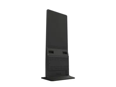 Digital Totem Low-poly 3D model