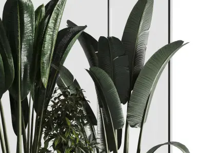 Plants behind glass 3D model