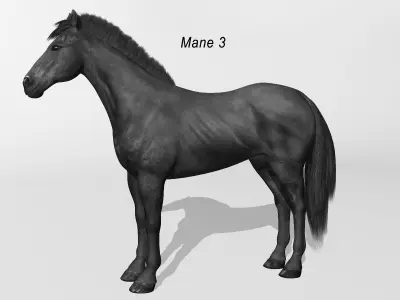 Horse - Black 3D model