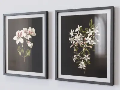 Vintage Botanical Collection 1 Low-poly 3D model