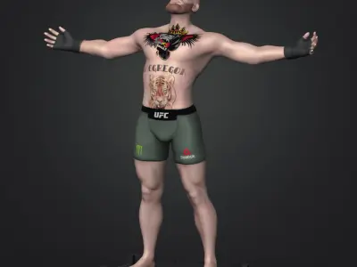 Cornor McGregor 3D Printable  3D print model