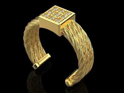 Rope braided ring model 487 3D print model