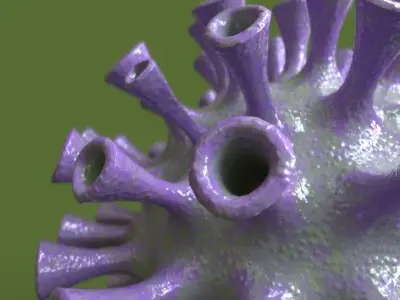 Virus coronavirus 3D model