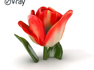 Tulipa Bicolor Blooming Elegance model pack Low-poly 3D model