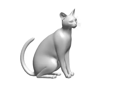 Cat  - 3D model