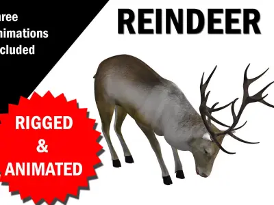 Reindeer RIgged and Animated 3D model