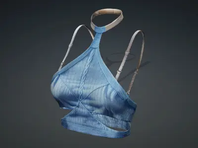Detailed blue top PBR 4k  Low-poly 3D model