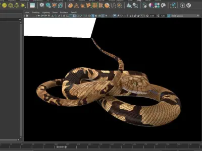 Snake -  Brown 3D model