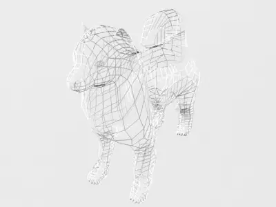 Samoyed White Low-poly 3D model
