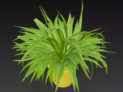 spider plant pot 3D model