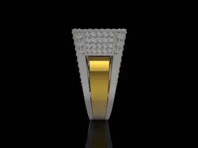 M RINGS N25 3D print model