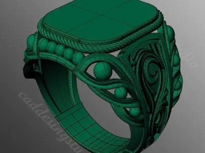 Ring bi111 3D print model