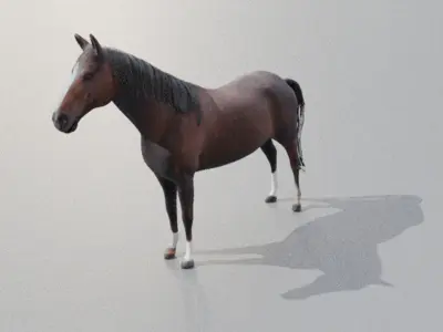 Realistic 3D Horse Model Low-poly 3D model