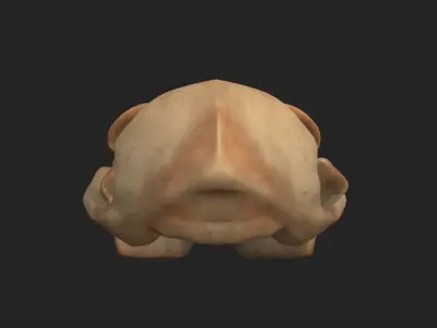 Stylized Cat Skull  Low-poly 3D model