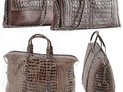 Set of bags 3D model