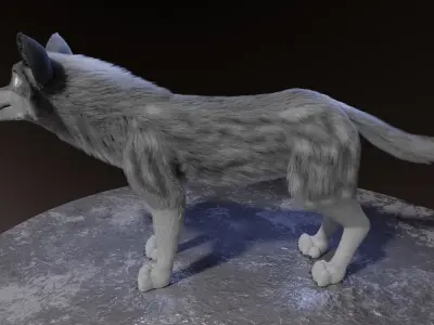 Ranky Wolf  3D model