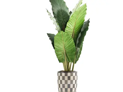 Plants Collection 88 3D model